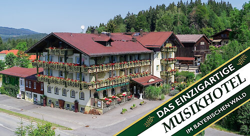 Hotel Zum Singenden Musikantenwirt